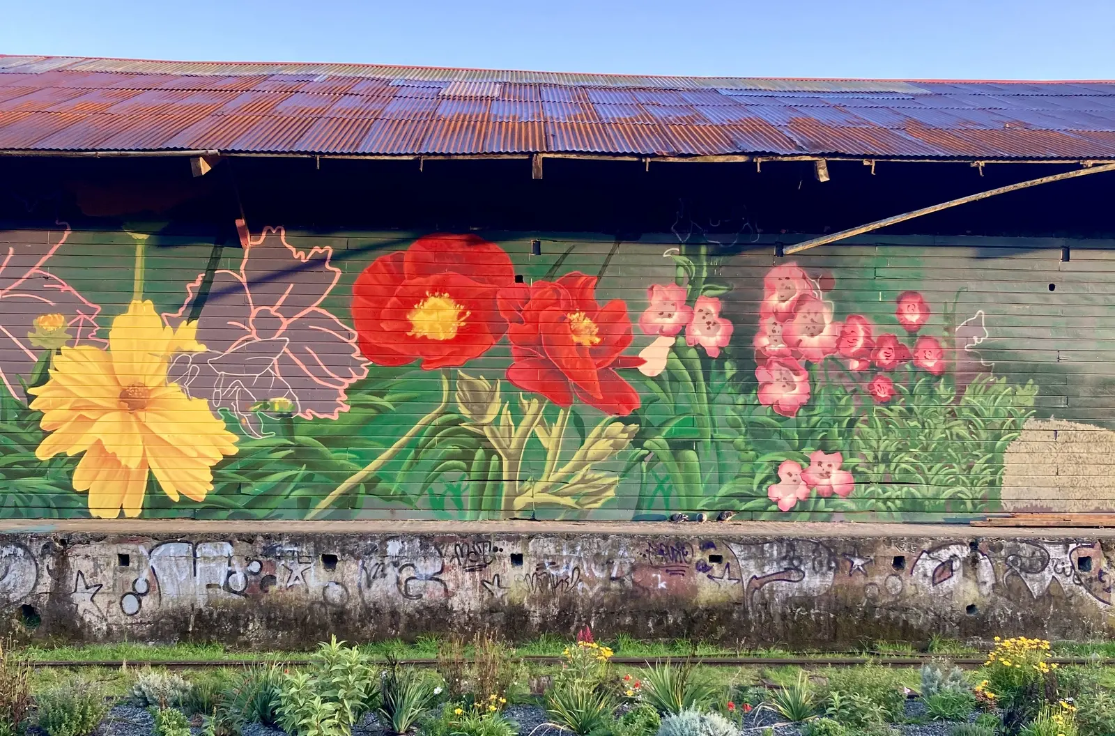 Mural de flores terminado en el Galpón Estación, con el corredor de flores junto a la vía