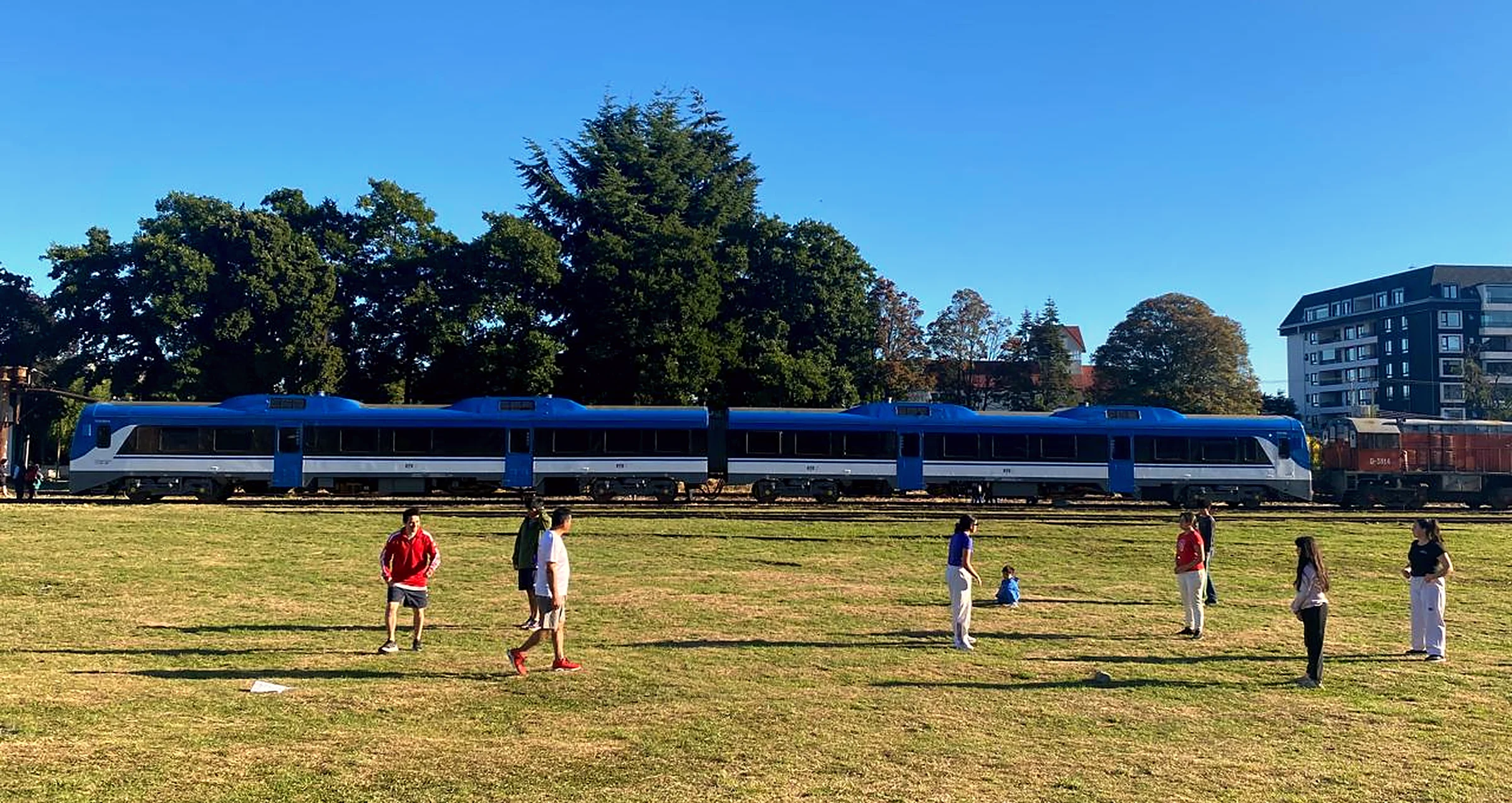 Personas en el pasto del parque con el tren azul de pasajeros detenido en la vía y árboles al fondo