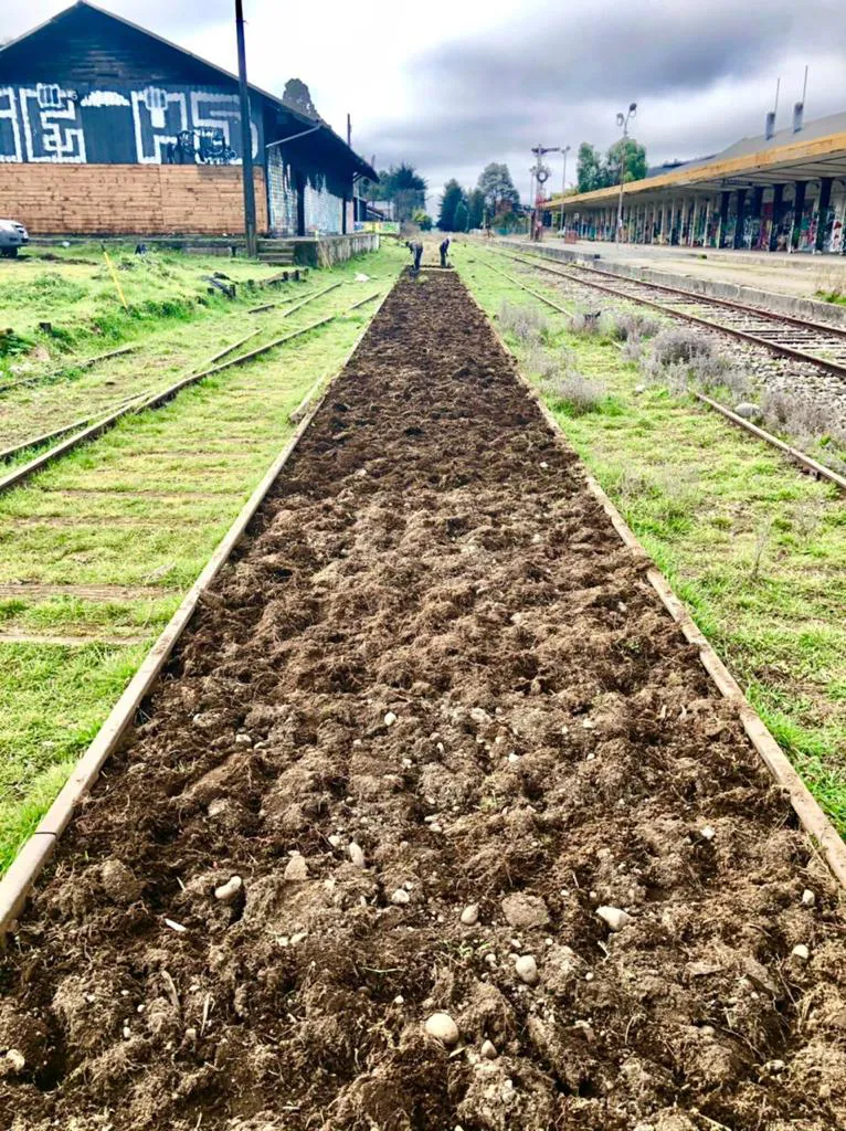 Tierra recién preparada entre los rieles para plantar el corredor